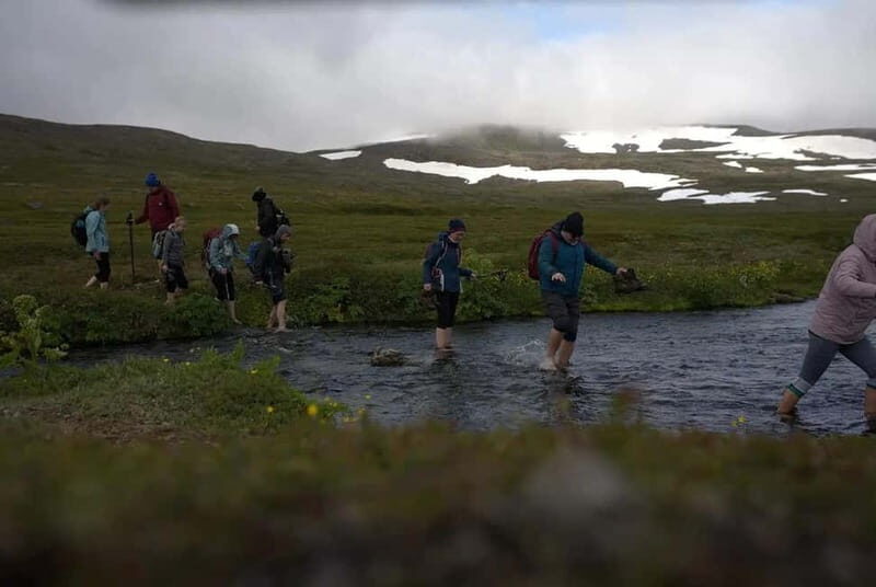 Ísafjörður: Hornstrandir Guided Hike Aðalvík to Hesteyri - Authentic Experience and Real Traveler Feedback