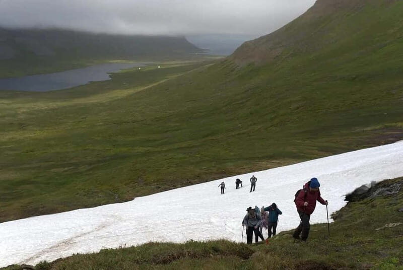 Ísafjörður: Hornstrandir Guided Hike Hesteyri to Aðalvík - Who Is This Tour Best For?
