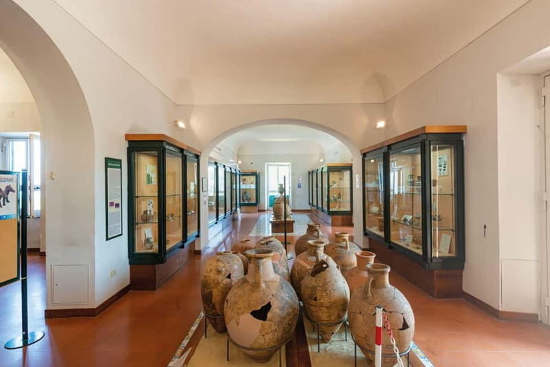Ischia: Archaeological Museum of Pithecusae Ticket - Introduction to the Pithecusae Museum Experience