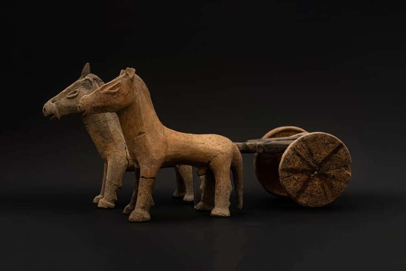 Ischia: Archaeological Museum of Pithecusae Ticket - What to Expect from Your Visit