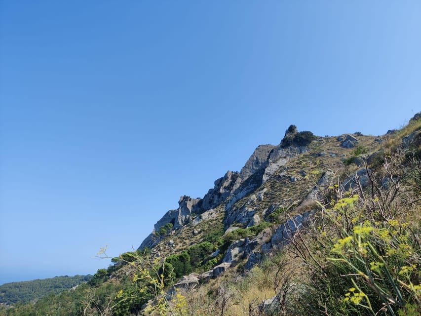 Ischia: Epomeo Summit Hike - Transportation and Pickup