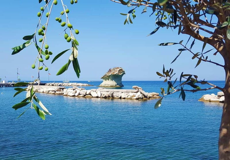 Ischia: Island tour by bus - Who Will Love This Tour?