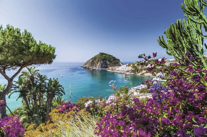 Ischia: Private Island Tour with Lunch - Who Is This Tour Best Suited For?