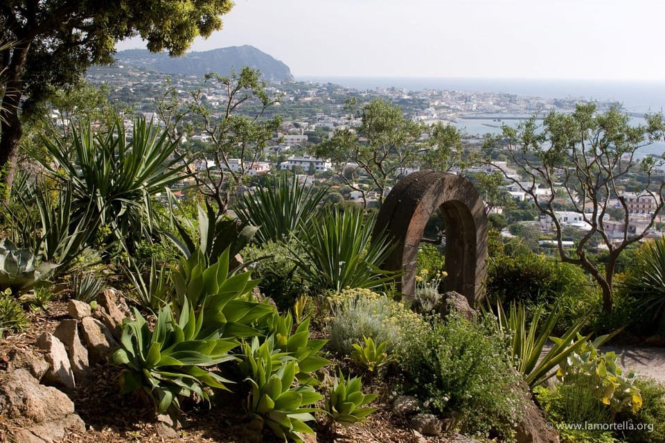Ischia: the Mortella Gardens Trip With Optional Lunch - Overview of the Trip