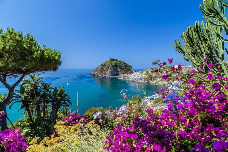 Ischia: Vineyard Tour - Key Points
