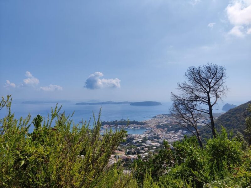 Ischia: Volcano hike - The Journey: What to Expect on This Volcanic Adventure