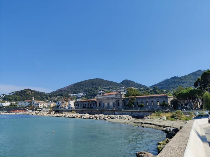 Ischia: Volcano Minibus Tour - Key Points