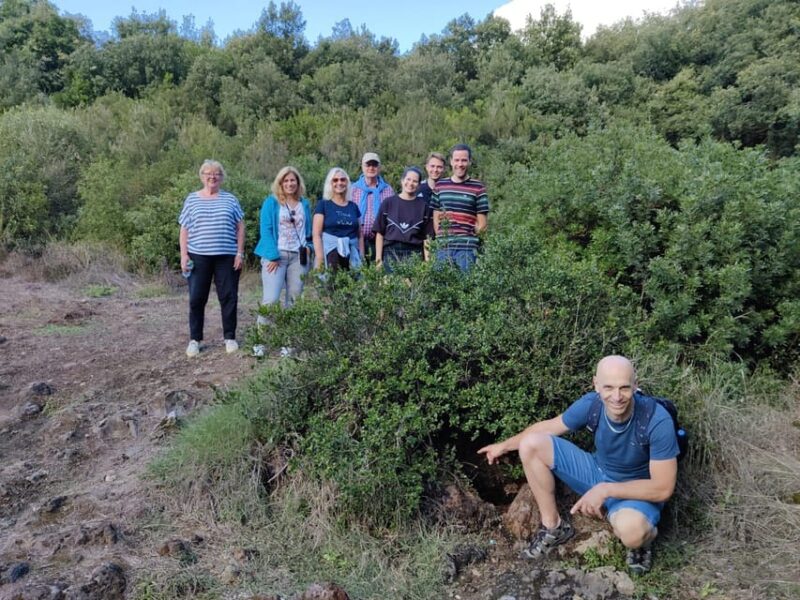 Ischia: Volcano Minibus Tour - Exploring the Volcanos Fascinating History and Geology