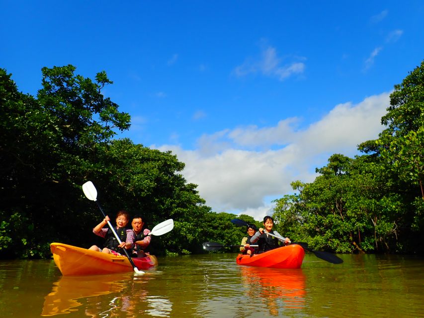 Ishigaki Island: 2-Hour Miyara River Kayaking Tour - Key Points