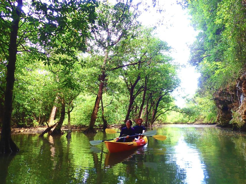 Ishigaki Island: 2-Hour Miyara River Kayaking Tour - Hotel Pickup and Drop-off Options