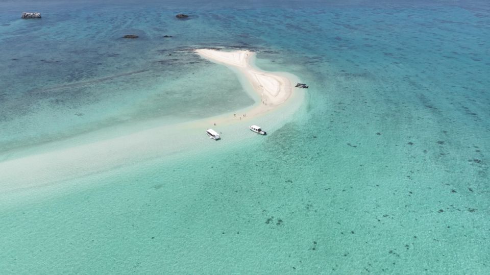 Ishigaki Island: Guided Tour to Hamajima With Snorkeling - Taking in Marine Life Wonders