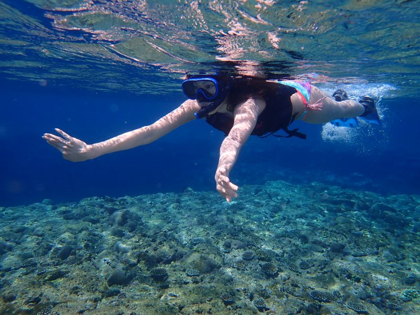 Ishigaki Island: Kayak/Sup and Snorkeling Day at Kabira Bay - Exploring Kabira Bay by Kayak
