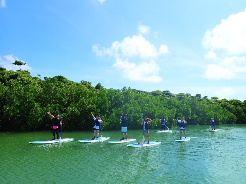 Ishigaki Island: SUP/Kayaking and Snorkeling at Blue Cave - Snorkeling at Blue Cave