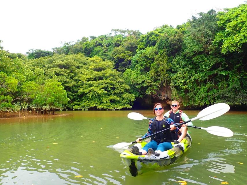 Ishigaki Island: SUP/Kayaking and Snorkeling at Blue Cave - Highlights of the Tour