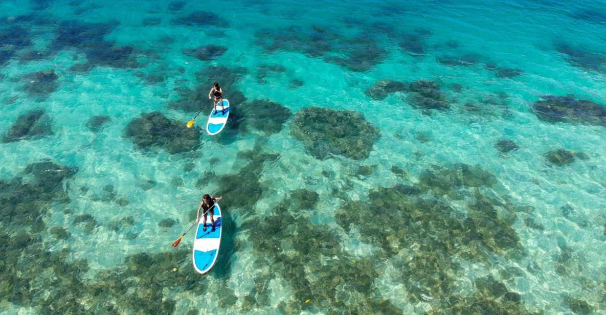 Ishigaki Island: SUP or Kayaking Experience at Kabira Bay - Experience Highlights