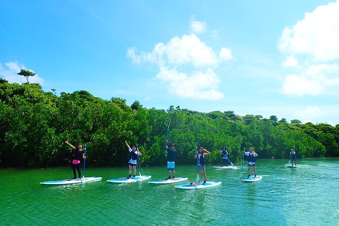 [Ishigaki] Mangrove SUP/Canoe Tour - Additional Details