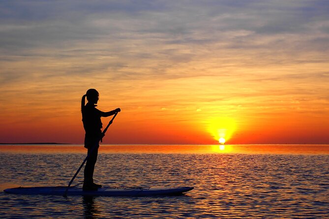 [Ishigaki] Sunset SUP/Canoe Tour - Tour Description