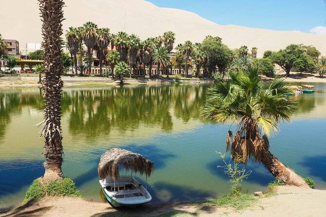 Isla Ballestas, Huacachina - Lima - Wildlife of Islas Ballestas