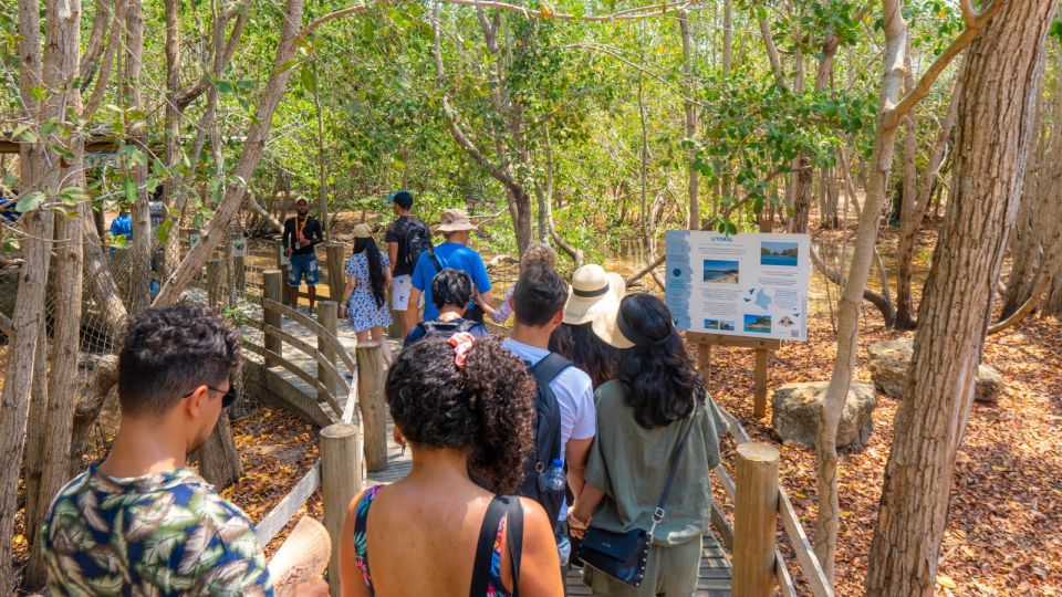 Isla Barú: Beach Club Access and Tour of the National Aviary - Important Information for Visitors