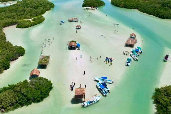 Isla Columpios and Progreso Day Trip - Who Is This Tour Best For?