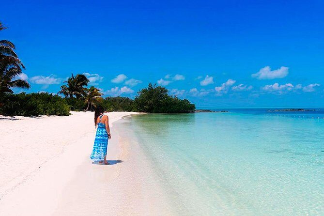 Isla Contoy Adventure Tour & Isla Mujeres from Playa del Carmen - An Overview of the Tour Experience