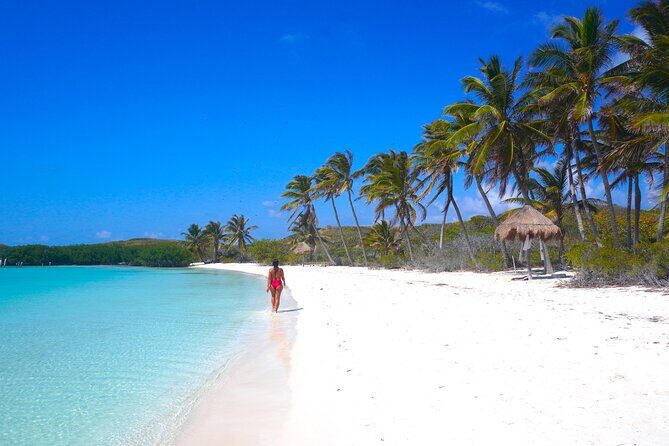 Isla Contoy and Isla Mujeres with All Inclusive Snorkeling - Practical Tips for a Smooth Day