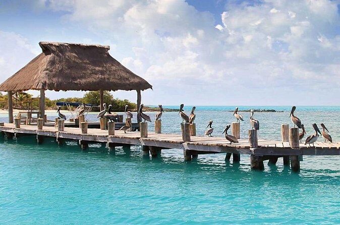 Isla Contoy Day Trip - Who Will Love This Tour?