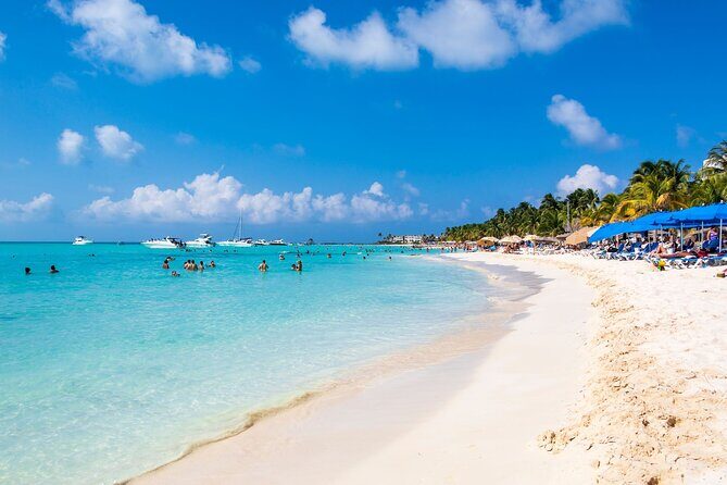 Isla Contoy Experience incl. Breakfast and Lunch - The Value of This Tour