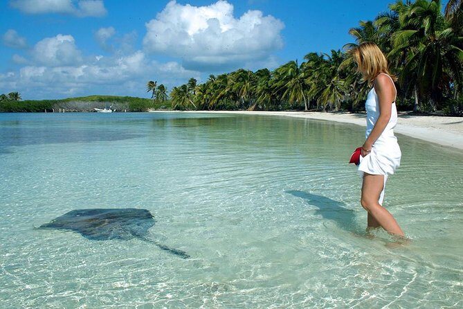 Isla Contoy! Explore a Bird Sanctuary from Cancun - The Itinerary: What to Expect from Dawn to Dusk