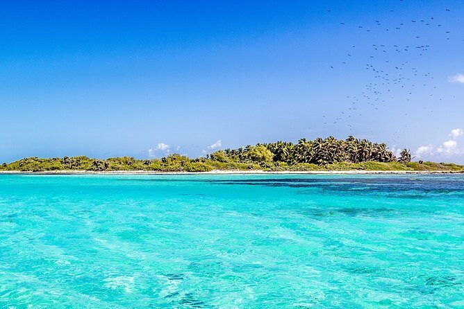 Isla Contoy Incredible Tour! Round Transportation From Cancun & Playa Del Carmen - FAQ