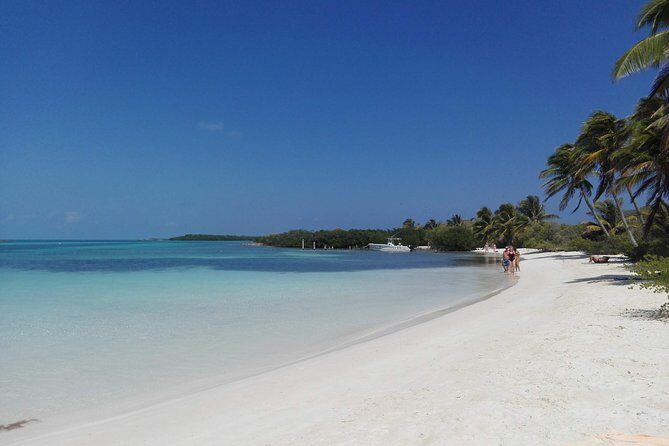 Isla Contoy & Isla Mujeres (from Playa del Carmen) - What the Tour Looks Like: A Step-by-Step Breakdown