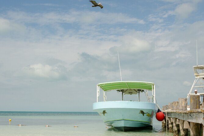 Isla Contoy Private Day Tour, from Cancun - An In-Depth Look at the Experience