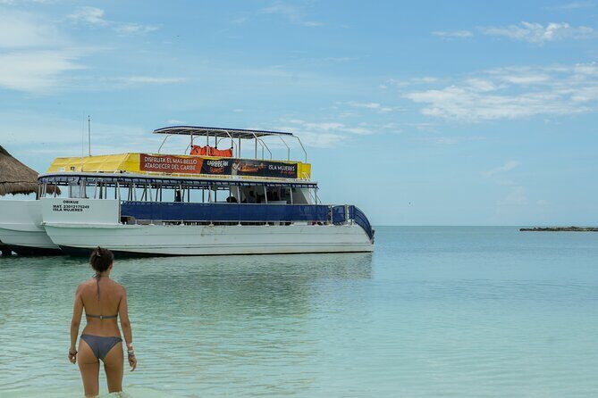 Isla Contoy Snorkeling Experience with Buffet - Exploring the Isla Contoy Snorkeling Experience with Buffet