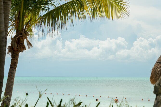 Isla Contoy Snorkeling Experience with Buffet - Key Points