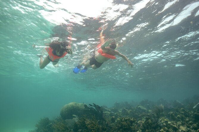 Isla Contoy Snorkeling Experience with Buffet - The Experience Provider and Booking Details