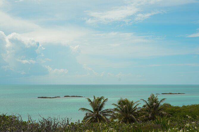 Isla Contoy Snorkeling Experience with Buffet - FAQ