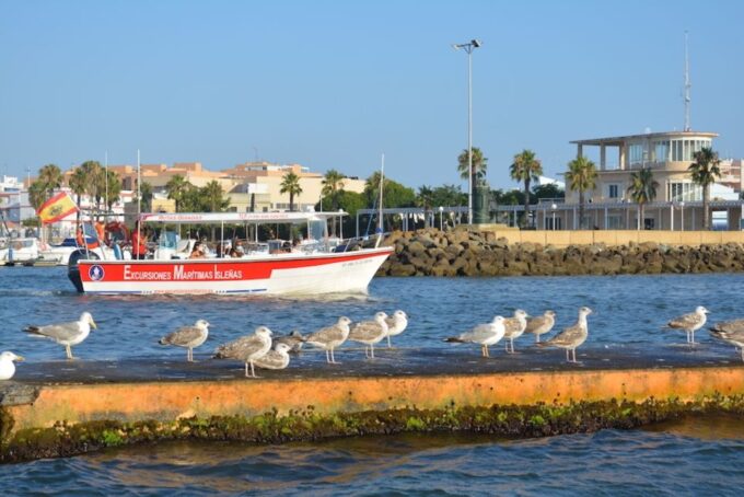 Isla Cristina/Isla Canela: Boat Trip Through the Marshes - Frequently Asked Questions