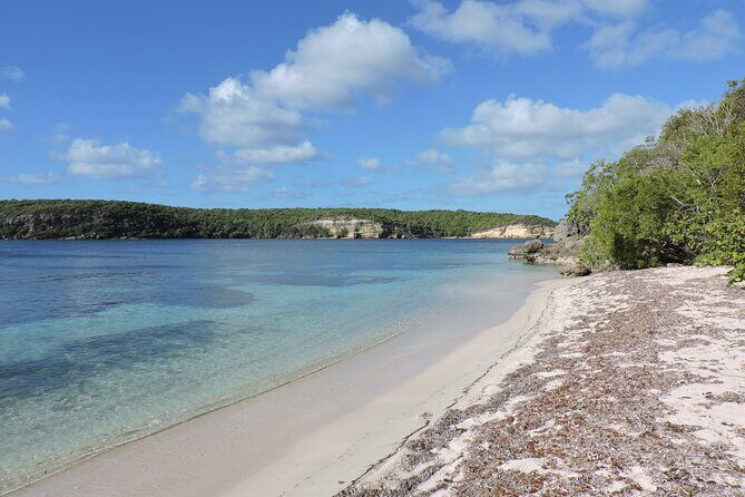 Isla de Vieques Beach Hopper Sightseeing Tour - Key Points