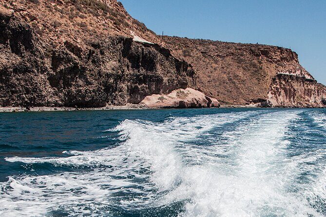 Isla Espiritu Santo and Balandra Tour - The Guide and Experience Quality