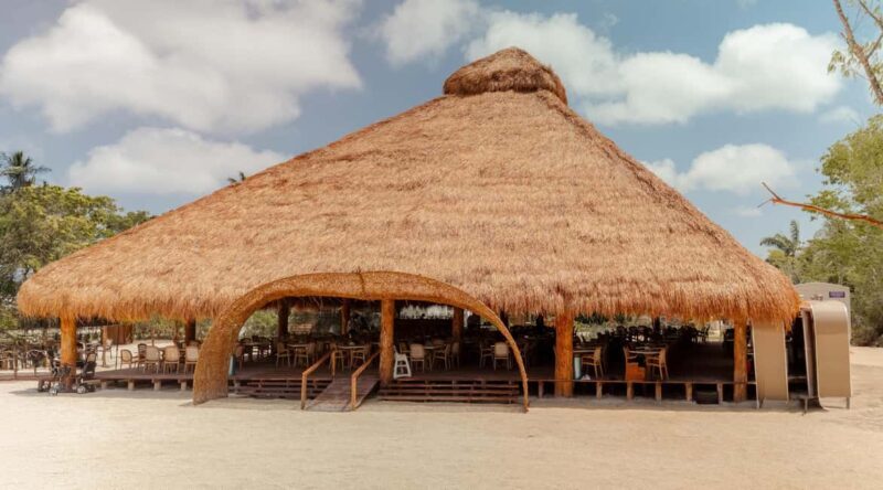 Isla Mia Roots with Tranfer - Who Would Enjoy This Tour?