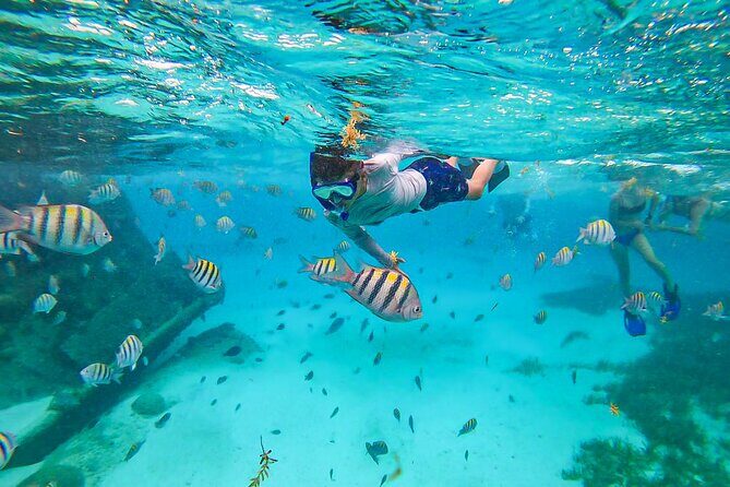 Isla Mujeres and Cancun Snorkeling and Fishing Combo - The Sum Up