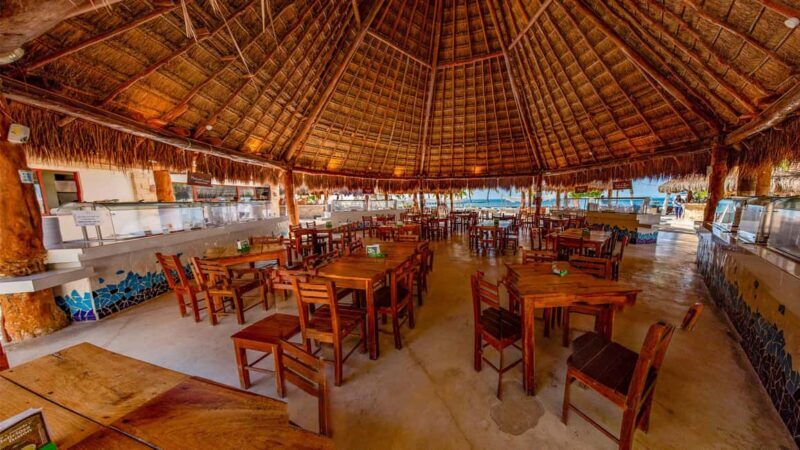 Isla Mujeres Catamaran, Snorkel & Buffet Lunch - The Realities: Reviews Paint a Full Picture