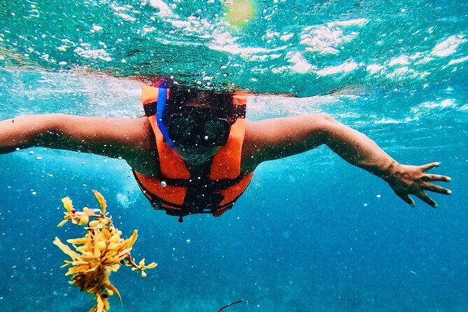 Isla Mujeres Catamaran Tour with Open Bar from Costa Mujeres - FAQ