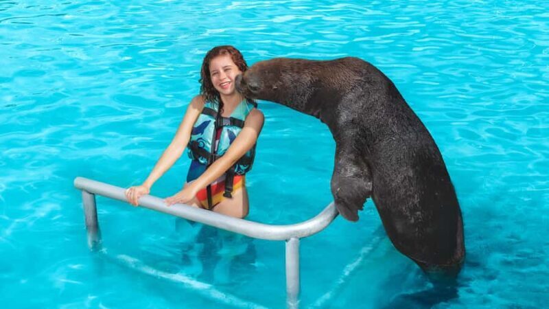 ISLA MUJERES: Dolphin Royal Connection & buffet from Cancun - Practical Tips for Making the Most of Your Day