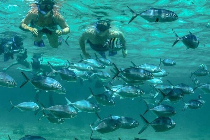 Isla Mujeres Full-Day Catamaran Tour  Buffet, Open Bar & Pickup - What the Reviews Say (and What They Implies)