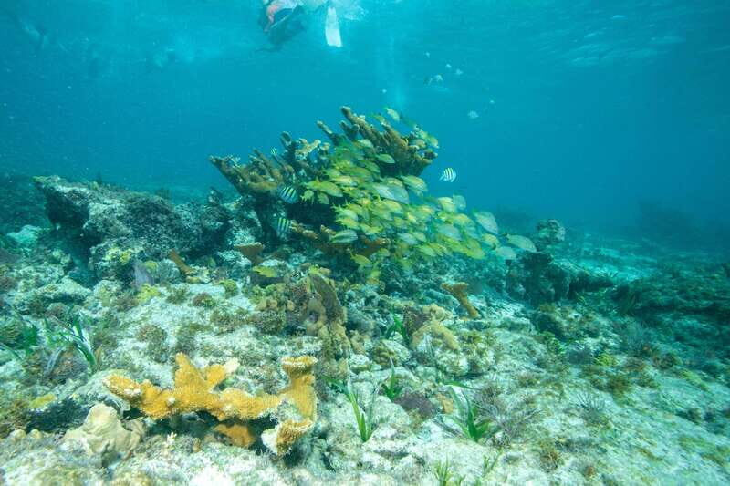 Isla Mujeres: Full Day Private Catamaran with Snorkeling - A Closer Look at the Private Catamaran Experience