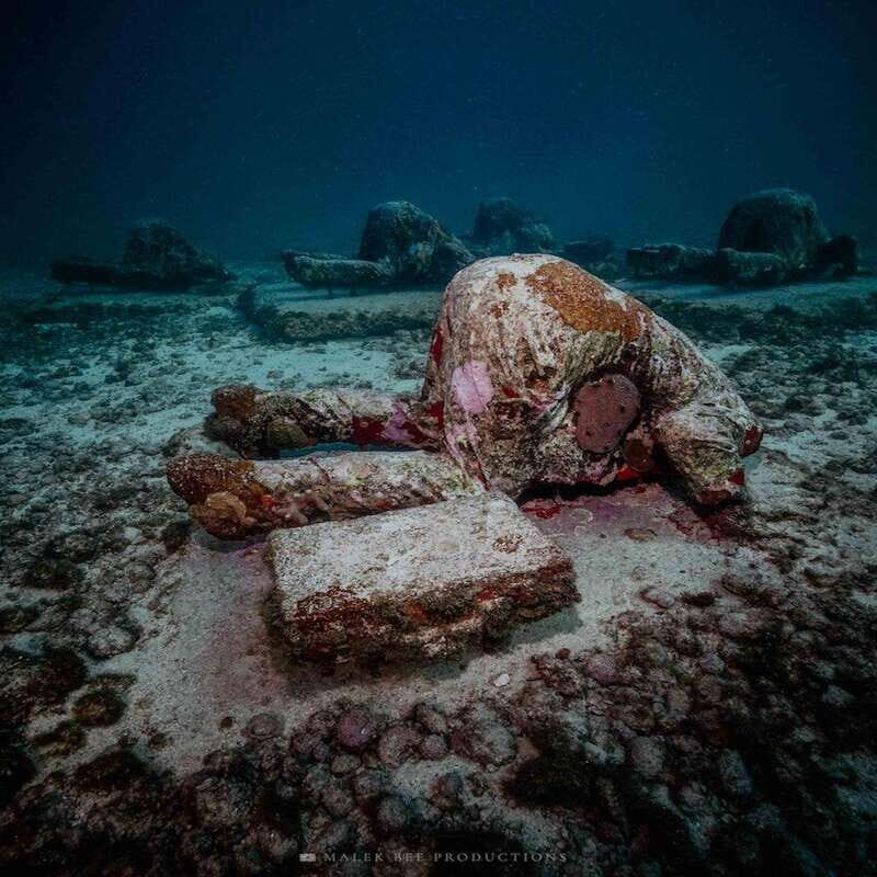 Isla Mujeres: MUSA and the Manchones Reef: 2 Tank Dive Tour - Key Points