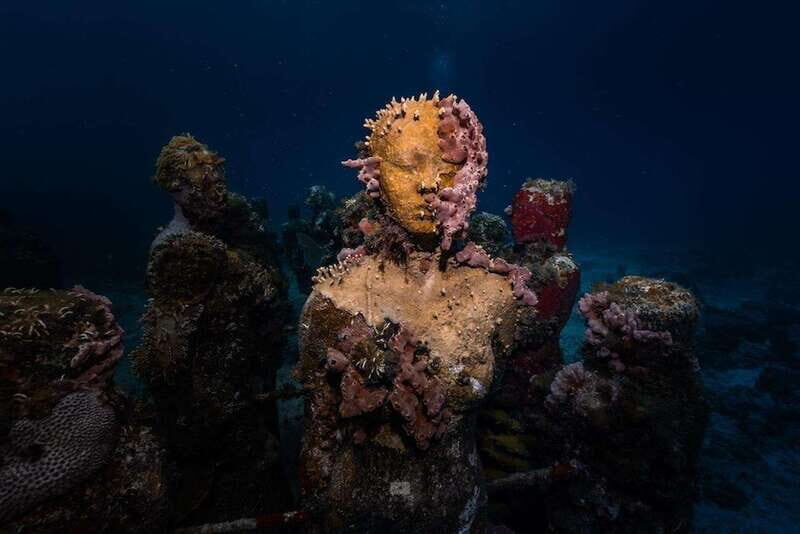 Isla Mujeres: MUSA and the Manchones Reef: 2 Tank Dive Tour - Detailed Review of the Tour Experience