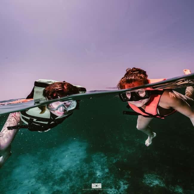 Isla Mujeres - MUSA and the Manchones Reef - Snorkel - Key Points