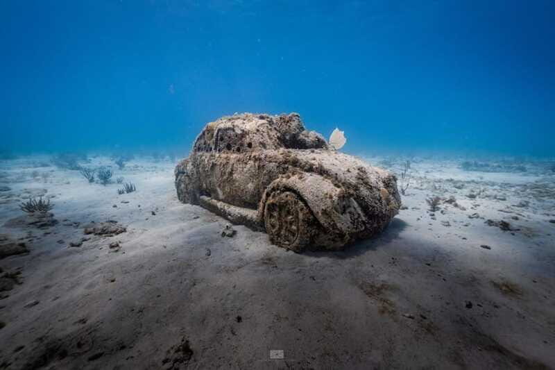 Isla Mujeres - MUSA and the Manchones Reef - Snorkel - Final Thoughts: Who Should Consider This Tour?